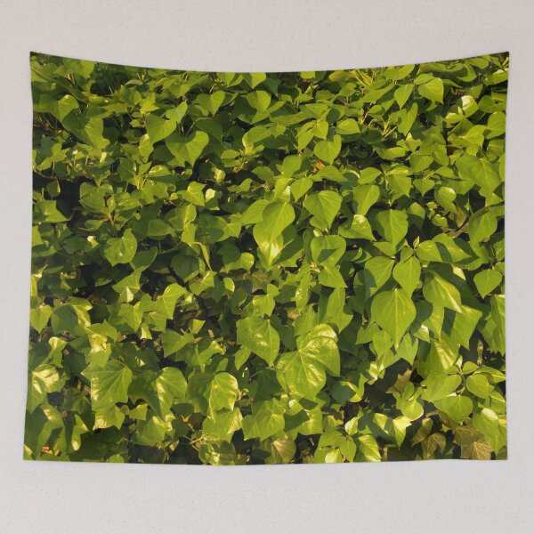 Item preview, green designed and sold by Babbler01.