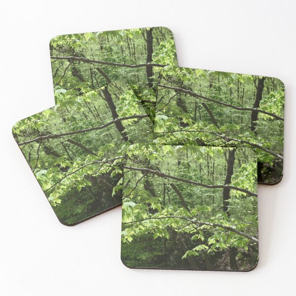 Item preview, The Magic of the Forest designed and sold by bertsworks300.