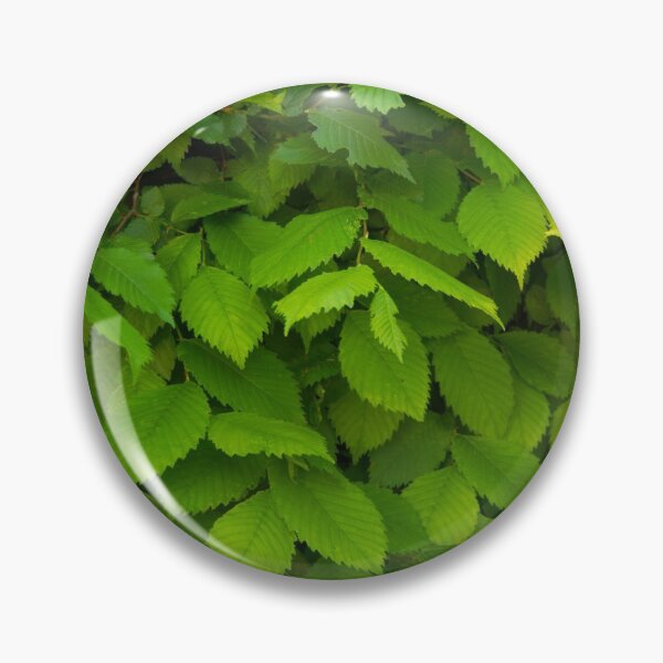 Item preview, green designed and sold by Babbler01.