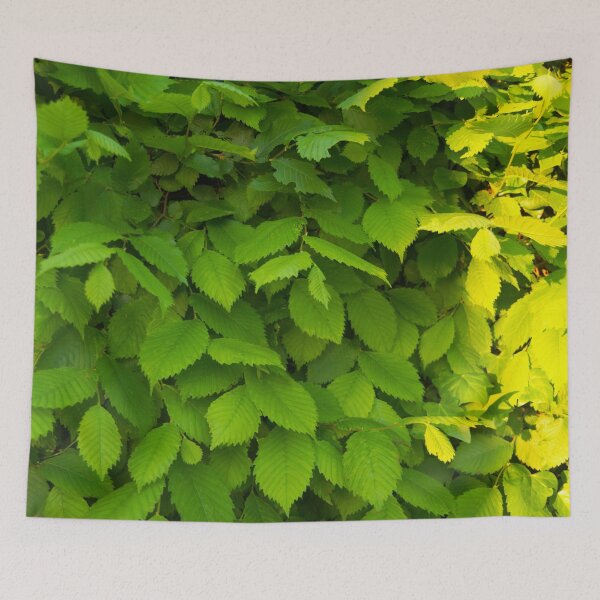 Item preview, green designed and sold by Babbler01.