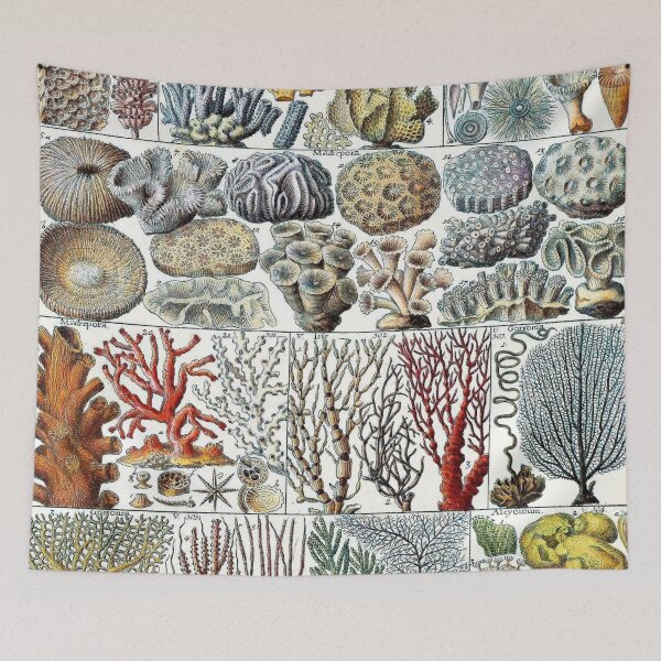 Item preview, Vintage coral - J.H Fuessli designed and sold by NineVi.