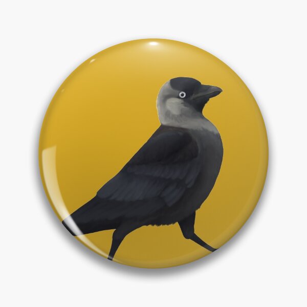 Item preview, Jackdaw Jim - no glasses designed and sold by bmaarsingh.