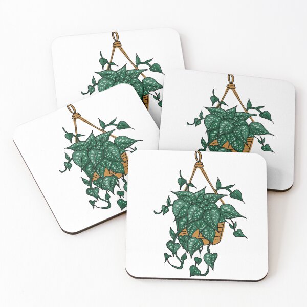 Item preview, Scindapsus plant designed and sold by lovethemplants.