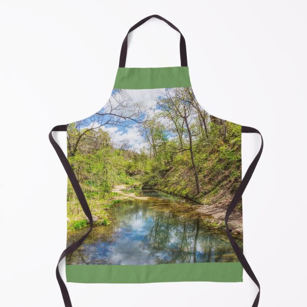 Item preview, Spring At Dripping Springs Branch designed and sold by mljdwhite.