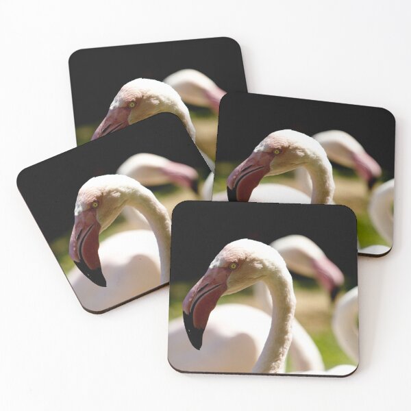 Item preview, Greater flamingo birds designed and sold by Michaelerch.
