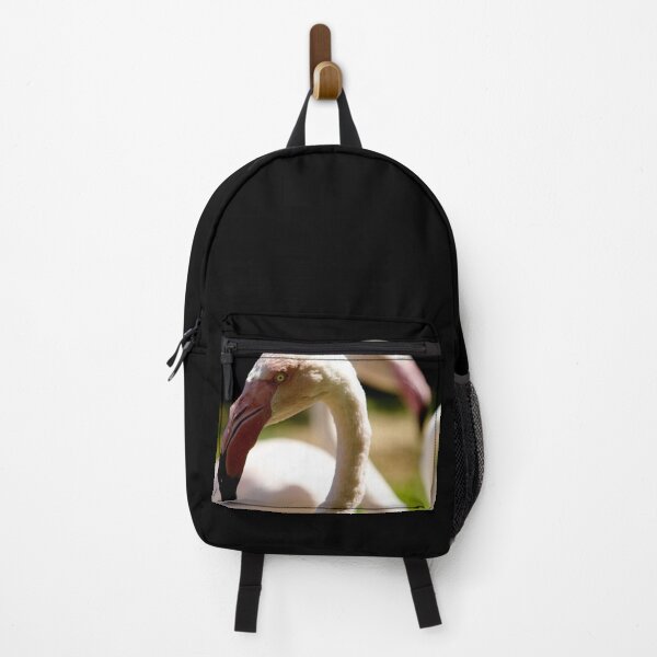 Item preview, Greater flamingo birds designed and sold by Michaelerch.