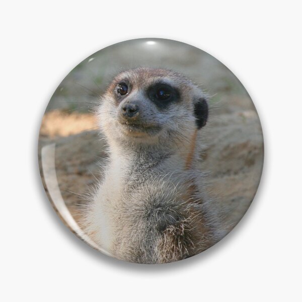 Artikelvorschau, Meerkat 004 entworfen und verkauft von JAMFoto.