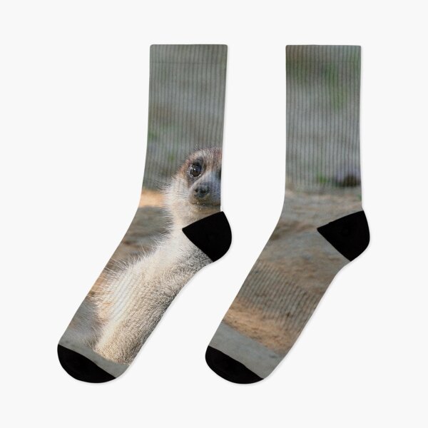 Item preview, Meerkat 004 designed and sold by JAMFoto.