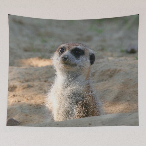 Item preview, Meerkat 004 designed and sold by JAMFoto.