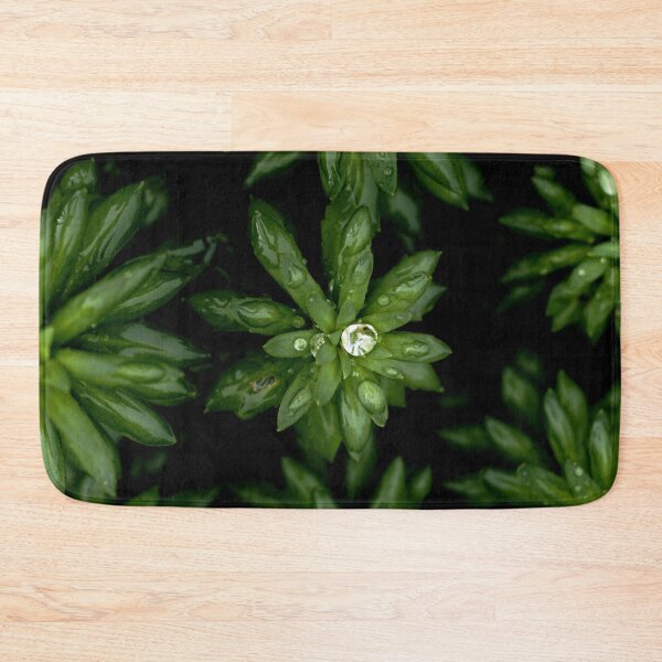 Item preview, Rhodiola Rosea plant designed and sold by Michaelerch.