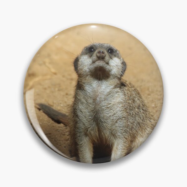 Item preview, Meerkat 031 designed and sold by JAMFoto.