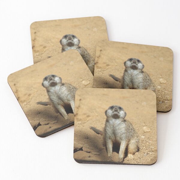 Item preview, Meerkat 031 designed and sold by JAMFoto.