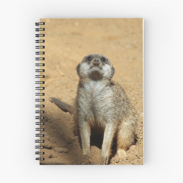 Item preview, Meerkat 031 designed and sold by JAMFoto.