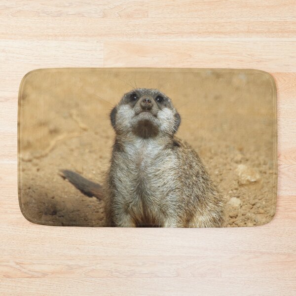 Item preview, Meerkat 031 designed and sold by JAMFoto.