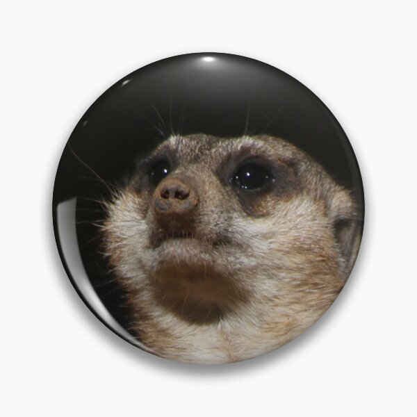 Artikelvorschau, Meerkat 032 entworfen und verkauft von JAMFoto.