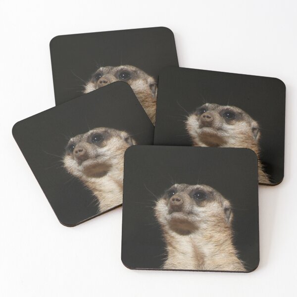 Item preview, Meerkat 032 designed and sold by JAMFoto.
