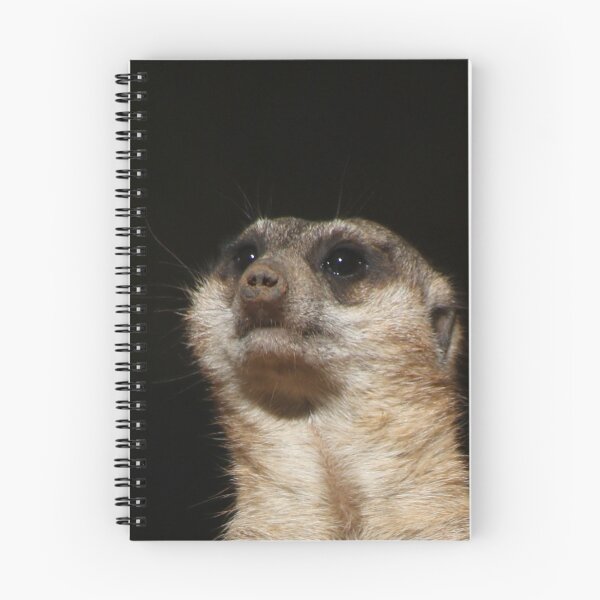 Item preview, Meerkat 032 designed and sold by JAMFoto.