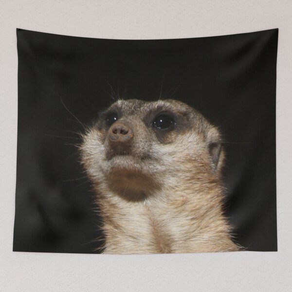 Item preview, Meerkat 032 designed and sold by JAMFoto.