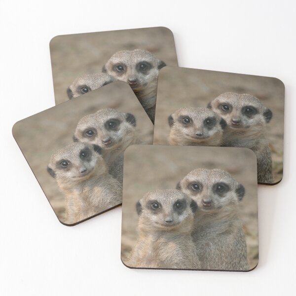 Item preview, Meerkat 033 designed and sold by JAMFoto.