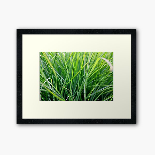Item preview, Green grass plant designed and sold by Light79.
