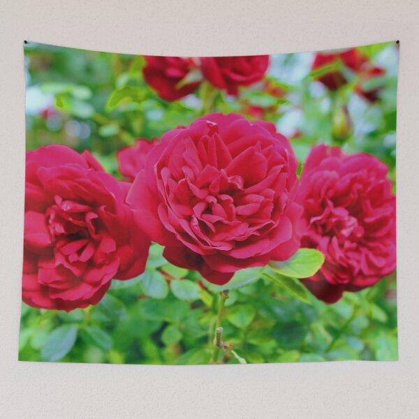 Artikelvorschau, Rote Rosen im Frühling entworfen und verkauft von Light79.