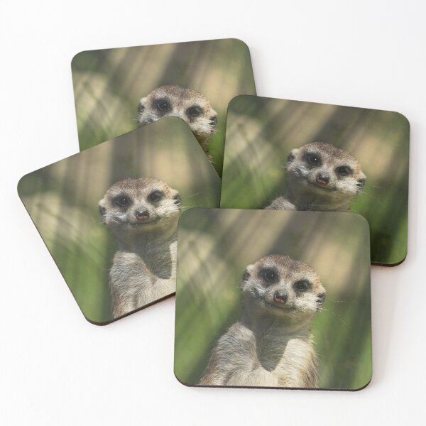 Item preview, Meerkat 034 designed and sold by JAMFoto.