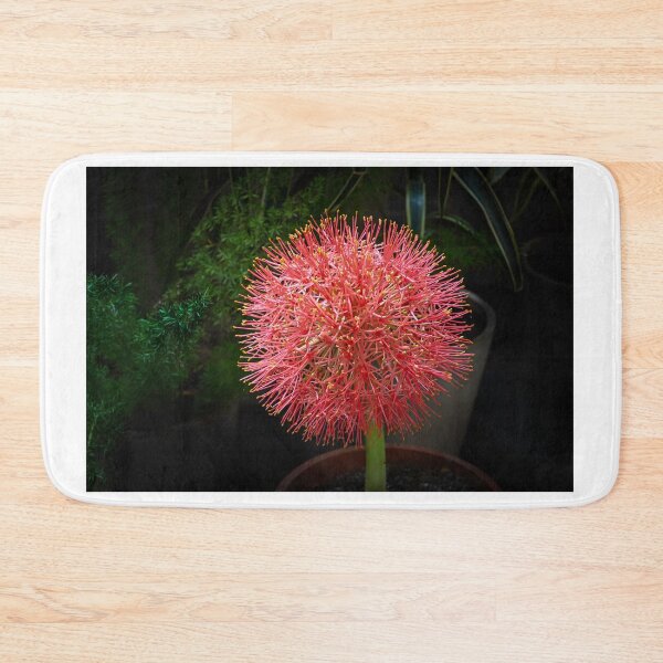 Item preview, Football Lily in Bloom designed and sold by Pravine Chester.