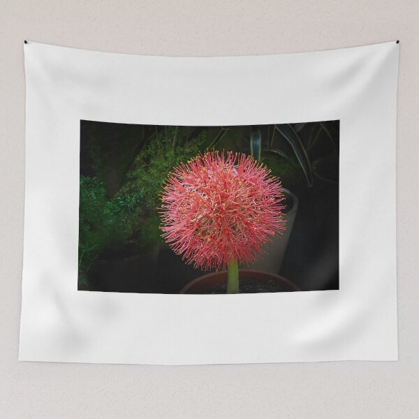 Item preview, Football Lily in Bloom designed and sold by Pravine Chester.