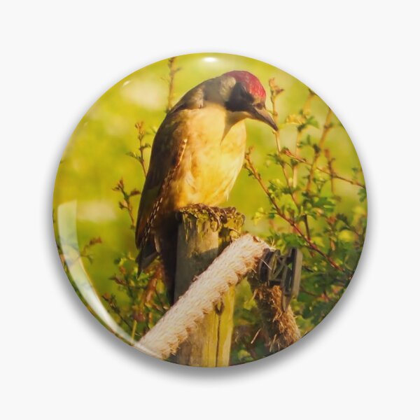 Item preview, Green woodpecker 3 designed and sold by jonfun1.