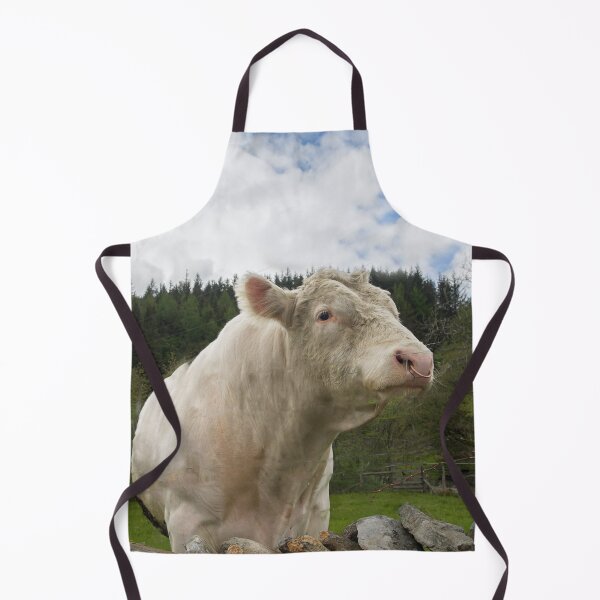 Item preview, Large Bull in Field Garsdale Cumbria designed and sold by Cameranick.