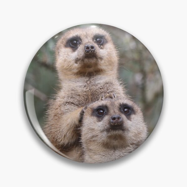 Artikelvorschau, Meerkat 035 entworfen und verkauft von JAMFoto.