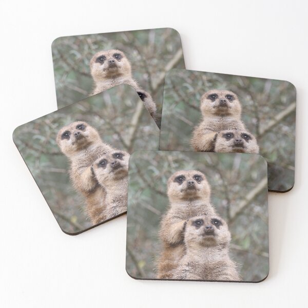 Item preview, Meerkat 035 designed and sold by JAMFoto.