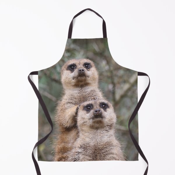 Artikelvorschau, Meerkat 035 entworfen und verkauft von JAMFoto.
