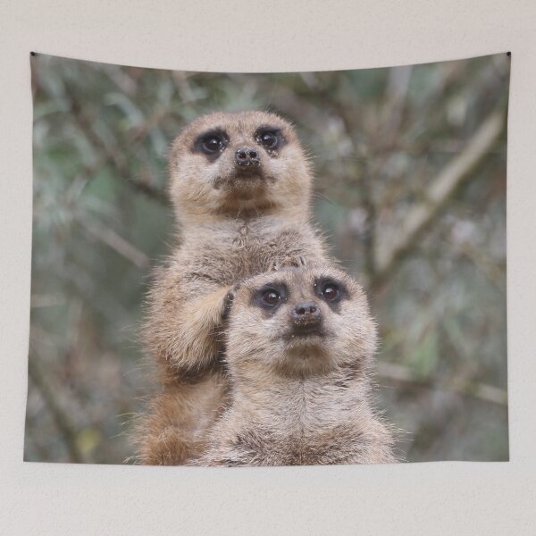 Item preview, Meerkat 035 designed and sold by JAMFoto.