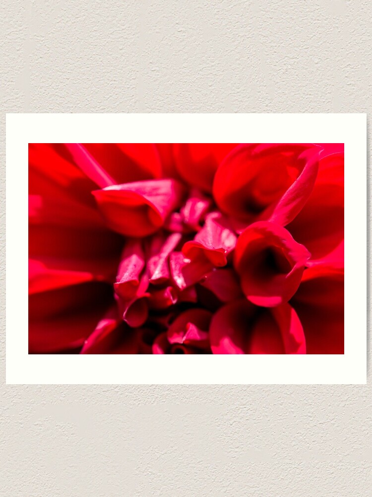 Thumbnail 1 of 3, Art Print, Red designed and sold by FrankThomas.