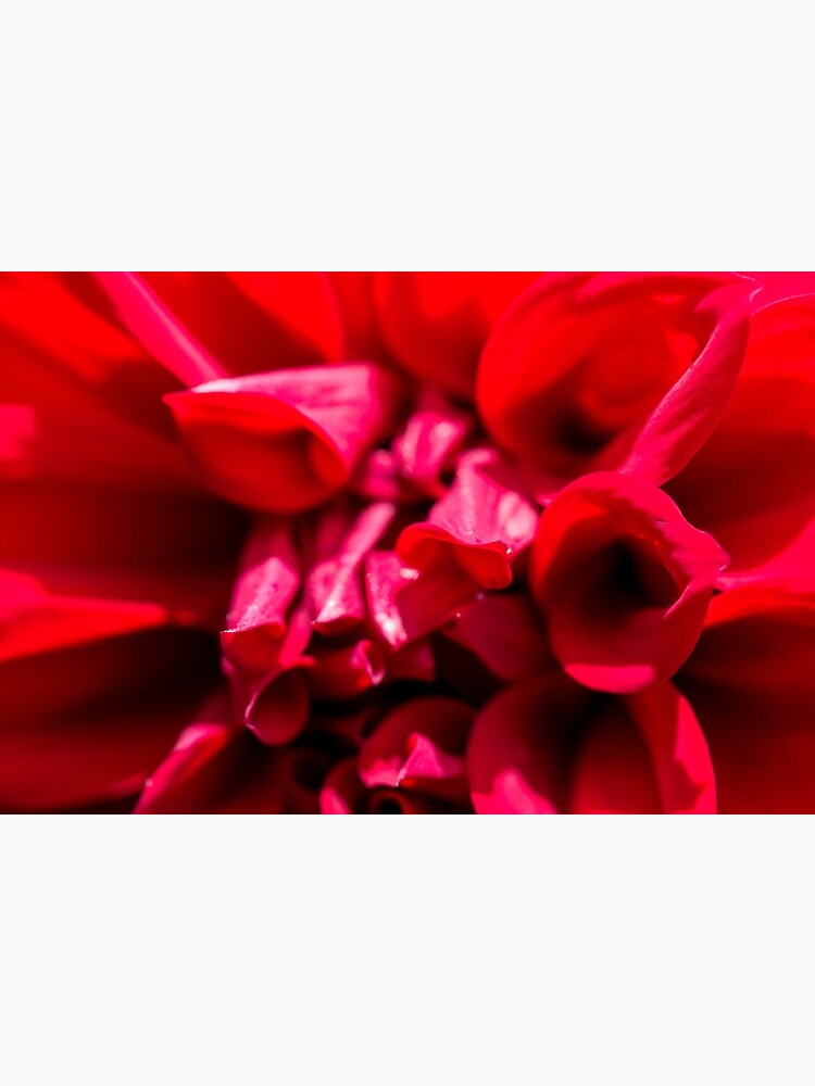 Thumbnail 3 of 3, Poster, Red designed and sold by FrankThomas.