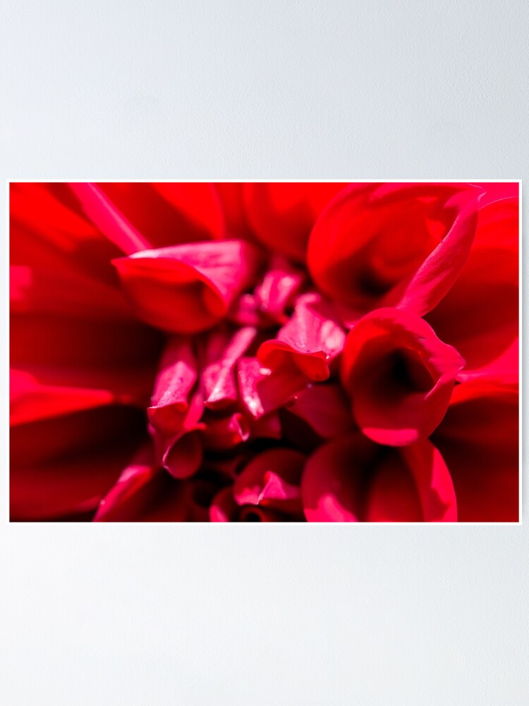 Thumbnail 1 of 3, Poster, Red designed and sold by FrankThomas.