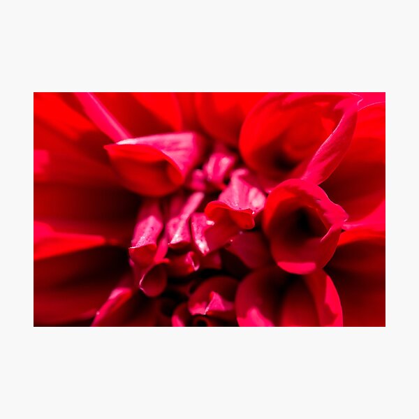 Photographic Print