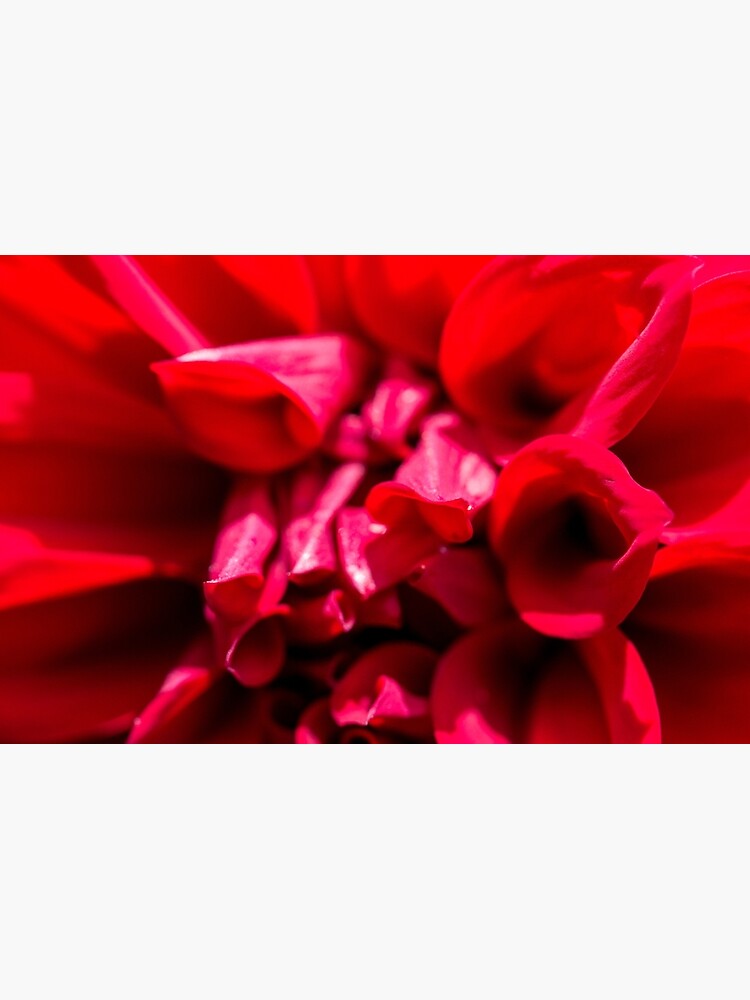 Thumbnail 2 of 2, Laptop Skin, Red designed and sold by FrankThomas.