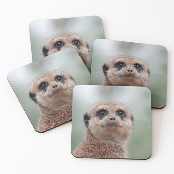 Item preview, Meerkat 036 designed and sold by JAMFoto.