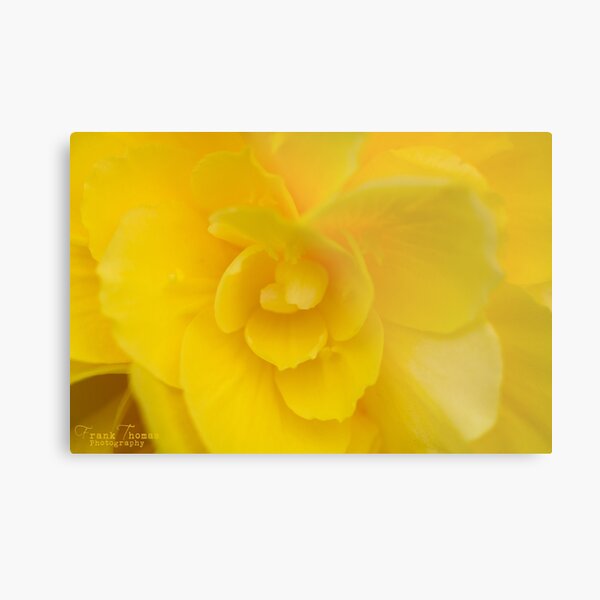 Yellow Metal Print