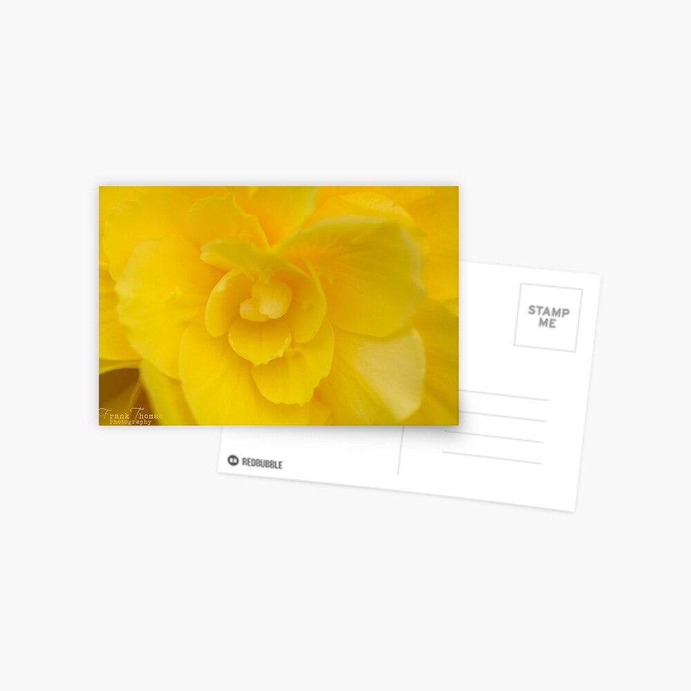 Item preview, Postcard designed and sold by FrankThomas.