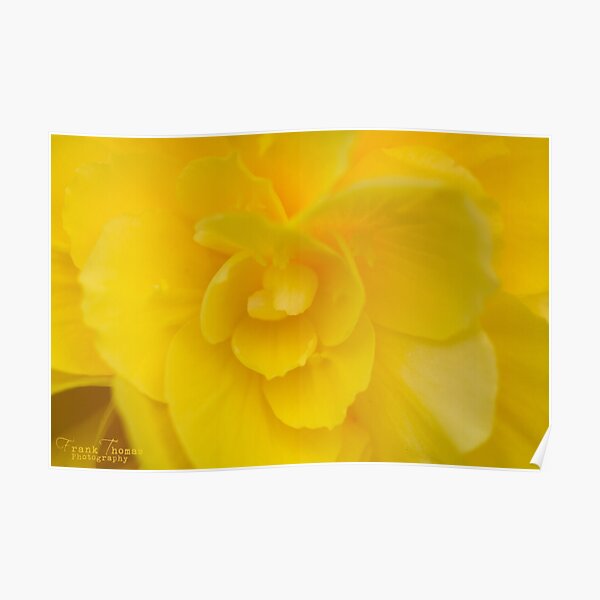 Yellow Poster
