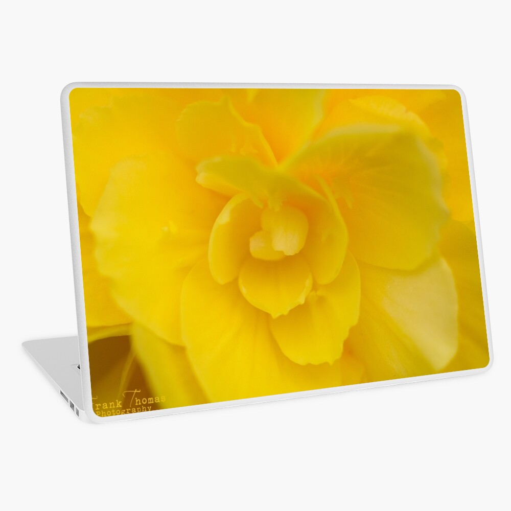 Item preview, Laptop Skin designed and sold by FrankThomas.
