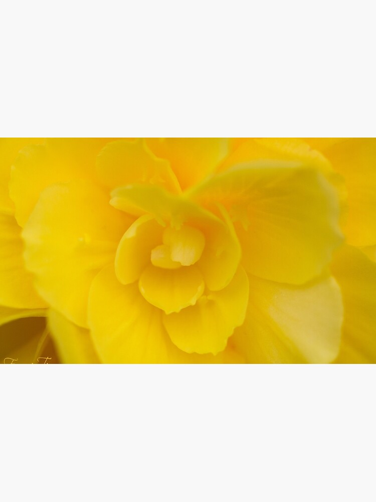 Thumbnail 6 of 6, Coffee Mug, Yellow designed and sold by FrankThomas.