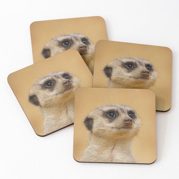 Item preview, Meerkat 037 designed and sold by JAMFoto.
