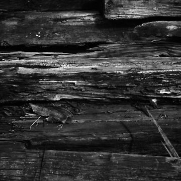 Artwork thumbnail, Old Wood by FrankThomas