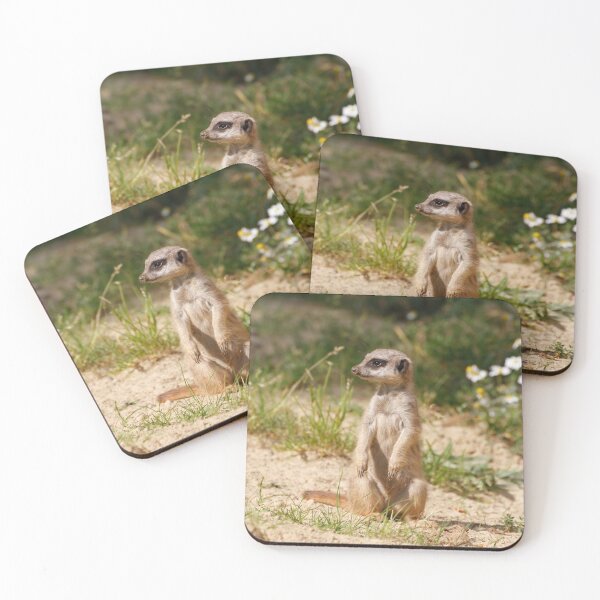 Item preview, Meerkat 038 designed and sold by JAMFoto.