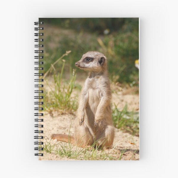 Item preview, Meerkat 038 designed and sold by JAMFoto.