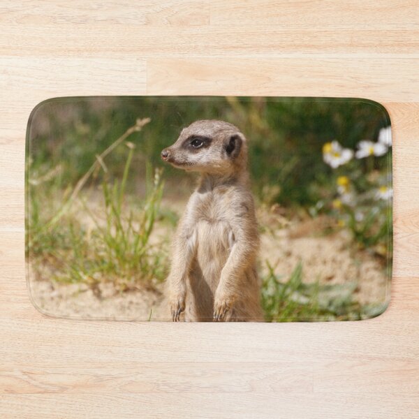 Item preview, Meerkat 038 designed and sold by JAMFoto.